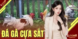 Đá Gà Cựa Sắt