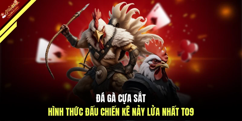 Đá gà cựa sắt - Hình thức đấu chiến kê nảy lửa nhất T09