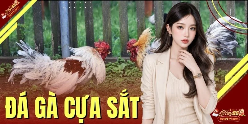 Đá Gà Cựa Sắt