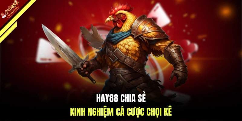 HAY88 chia sẻ kinh nghiệm cá cược chọi kê