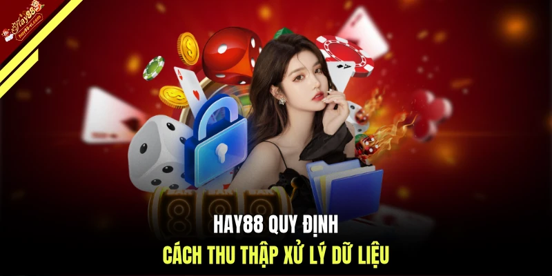 HAY88 quy định cách thu thập xử lý dữ liệu