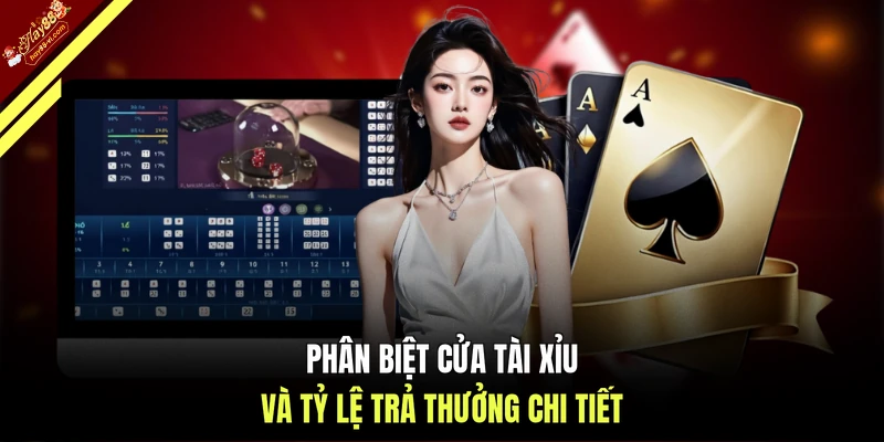 Phân biệt cửa Tài Xỉu và tỷ lệ trả thưởng chi tiết