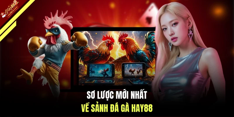 Sơ lược mới nhất về sảnh đá gà HAY88